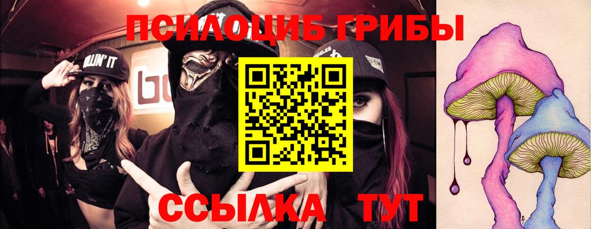 Псилоцибиновые грибы мухоморы Вятские Поляны