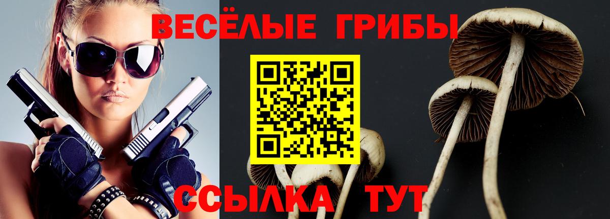 Вятские Поляны  Псилоцибиновые грибы Psilocybe  Вход с VPN 